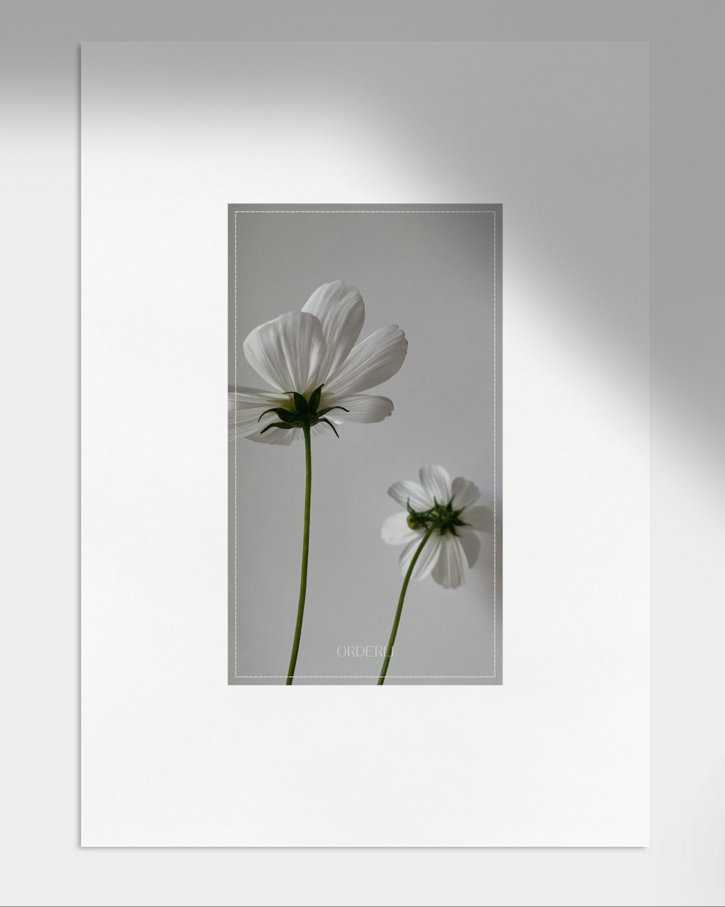 Cosmos Dashboard (digital download)