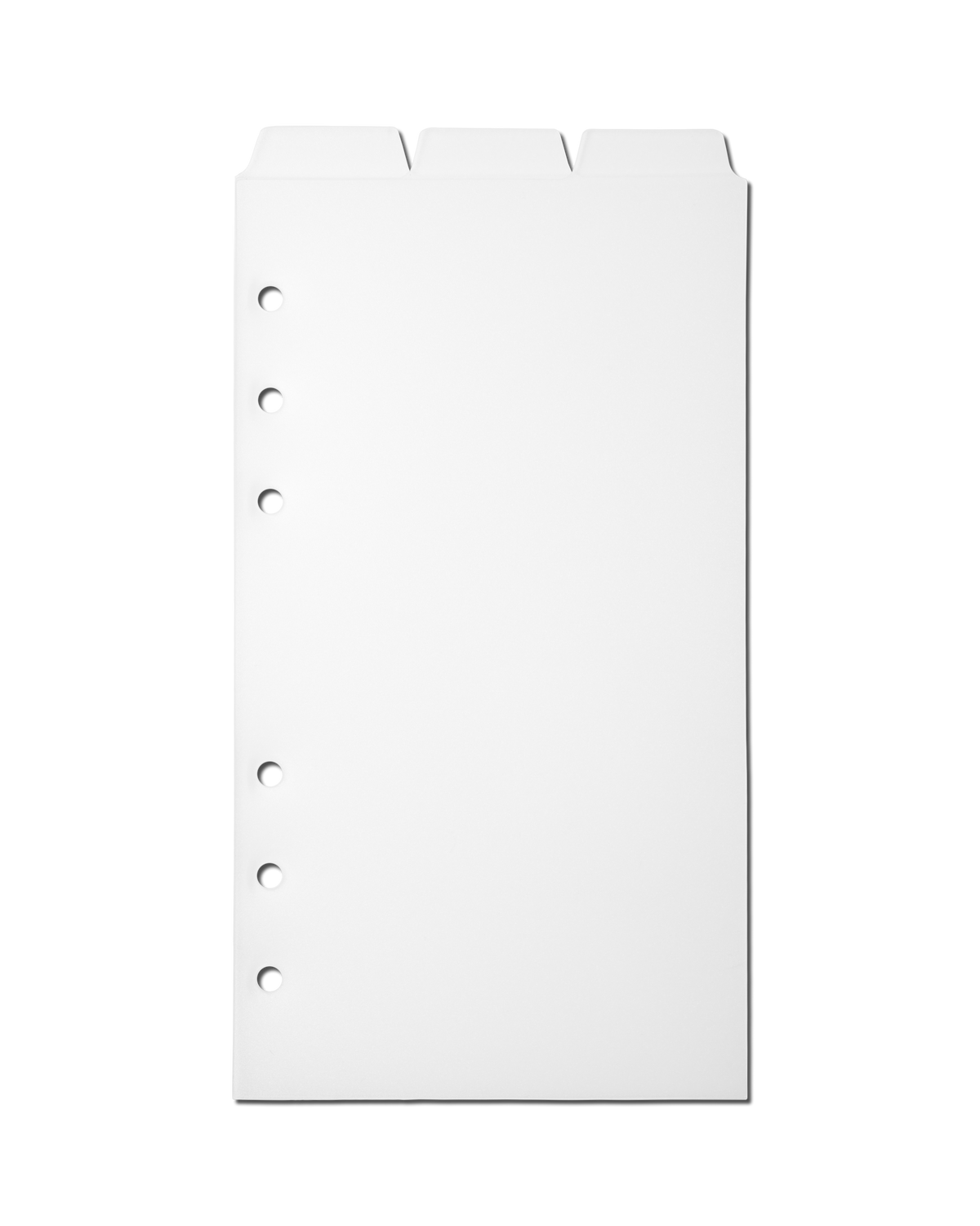 Frosted Planner Dividers